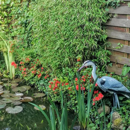 Ferienhaus Hollekuhl *